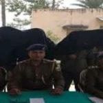 मधुबनी के चनौरागंज स्थित एनएच-27 से बरामद शव मामले का खुलासा, अवैध संबंध में दिया वारदात को अंजाम, चार आरोपी गिरफ्तार