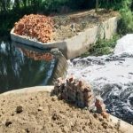 चेक डैम ने बदली किसानों की तकरीरः फसलों के लिए संजीवनी, पीने के पानी का संकट खत्म, हरसिंगपुर में वर्षा जल संचयन की दिशा में महत्वपूर्ण पहल