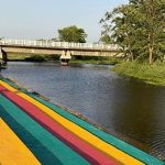 एक दिन में लगाए 9 हजार पौधे, अब मिलेगा राष्ट्रीय सम्मान