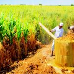 गुड़ उत्पादन इकाई लगाएं, सरकार देगी 6 लाख से 1 करोड़ तक अनुदान, 25 जुलाई तक करें आवेदन
